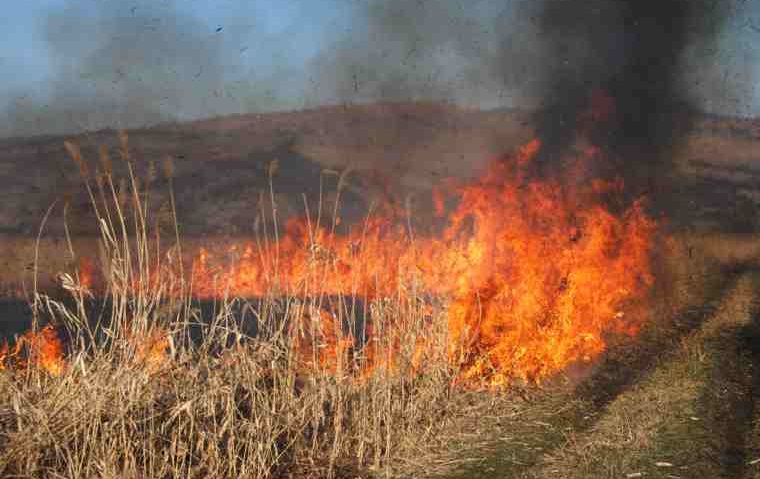 [AUDIO] Fermierii care incendiază terenurile agricole, lăsaţi de APIA fără subvenţii!