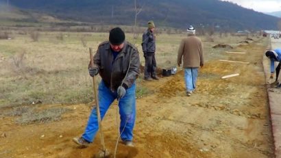 [AUDIO] Plantări cu rol de protecţie pe malul Dunării la Moldova Nouă