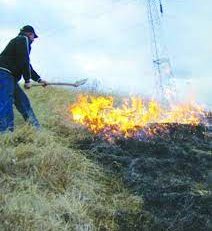 [AUDIO] Incendiile de vegetaţie din Valea Almăjului pot lăsa fără subvenţii aproape 60 de fermieri. APIA Caraş-Severin face cercetări în teren!