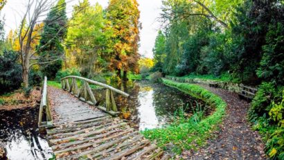 [AUDIO] Parcul dendrologic din comuna Sacu reabilitat cu fonduri europene