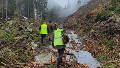 [AUDIO-FOTO] Garda Forestieră Timişoara a depistat o seamă de nereguli în pădurile din vestul României