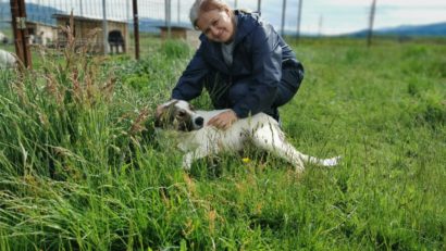 [AUDIO-FOTO] Trei ţări europene colaborează pentru gestionarea câinilor cu şi fără stăpân la Oţelu-Roşu