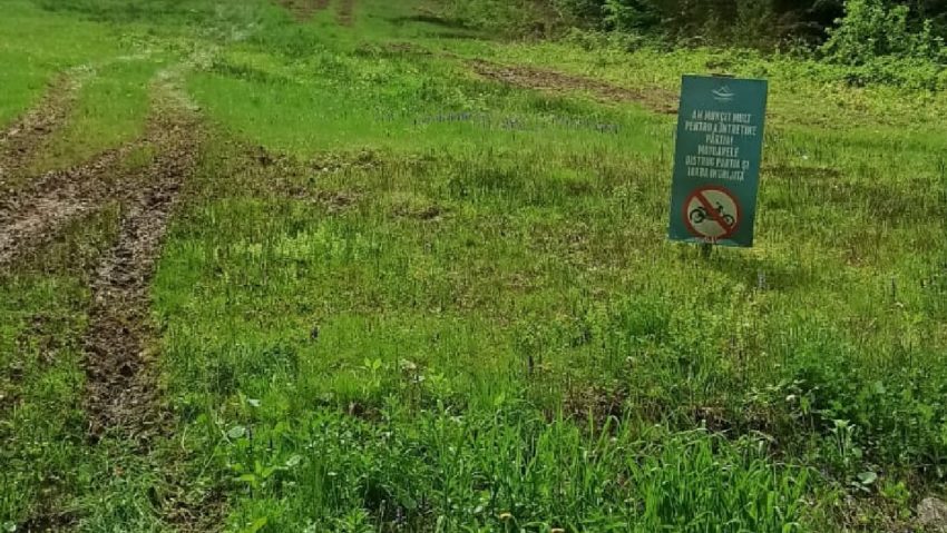 [FOTO-VIDEO-AUDIO] Distracția se plătește! Chiar şi în pădure!