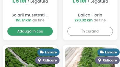 [AUDIO]Cumpărături la un click distanţă. MICUL APROZAR aduce producătorii locali mai aproape de consumatori