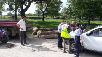 [AUDIO] Fondurile forestiere din Banat, sub lupa Gărzii Forestiere Timişoara