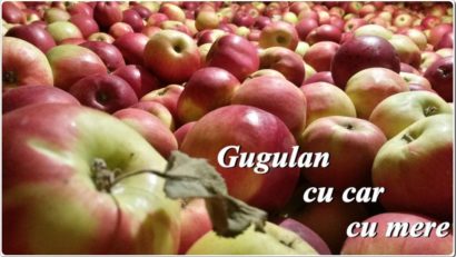 [AUDIO-FOTO] Marii retaileri din România nu susţin în niciun fel producătorii autohtoni, mărturiseşte pomicultorul Petru Ivăniş din Vârciorova, mulţumit că îşi poate desface recolta în pieţele din Timiş şi Caraş-Severin