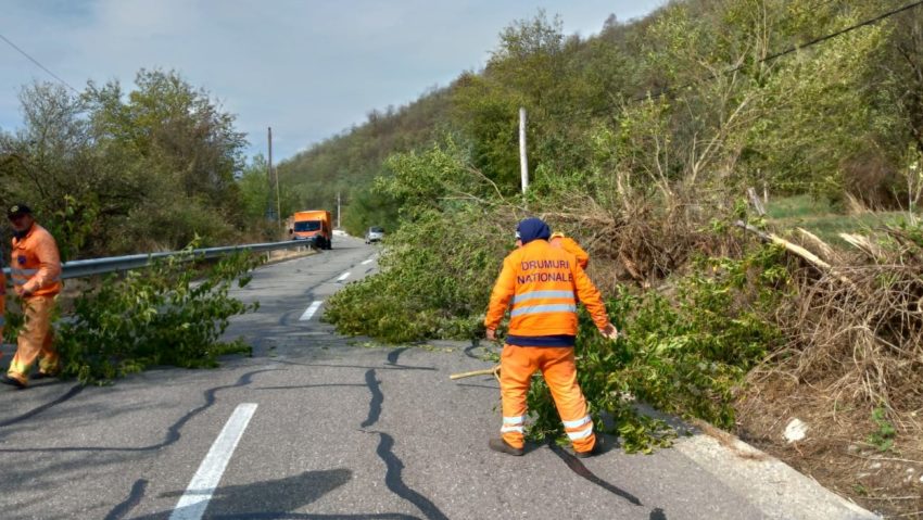 Efectele vântului în Caraş-Severin: Copaci căzuţi pe carosabil şi case fără energie electrică