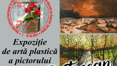 [AUDIO-FOTO]Plasticianul Nik Potocean din Bocşa, online, pe simeze reşiţene