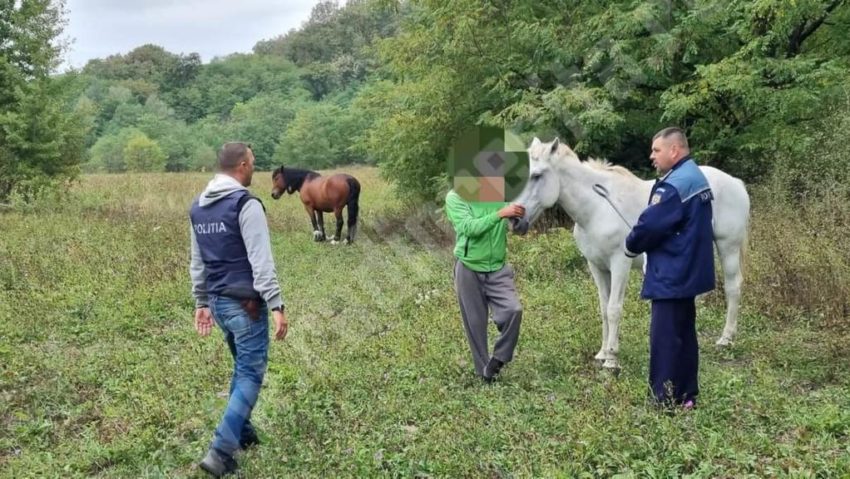 [AUDIO] Poliţia Animalelor Caraş-Severin, funcţionează sub jumătate din capacitate