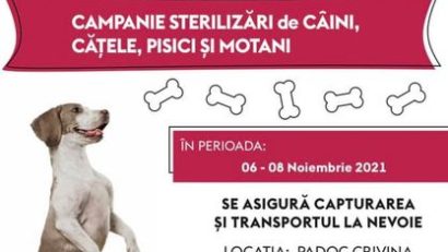 Campanie de sterilizări, câini şi pisici la Anina