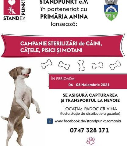 Campanie de sterilizări, câini şi pisici la Anina