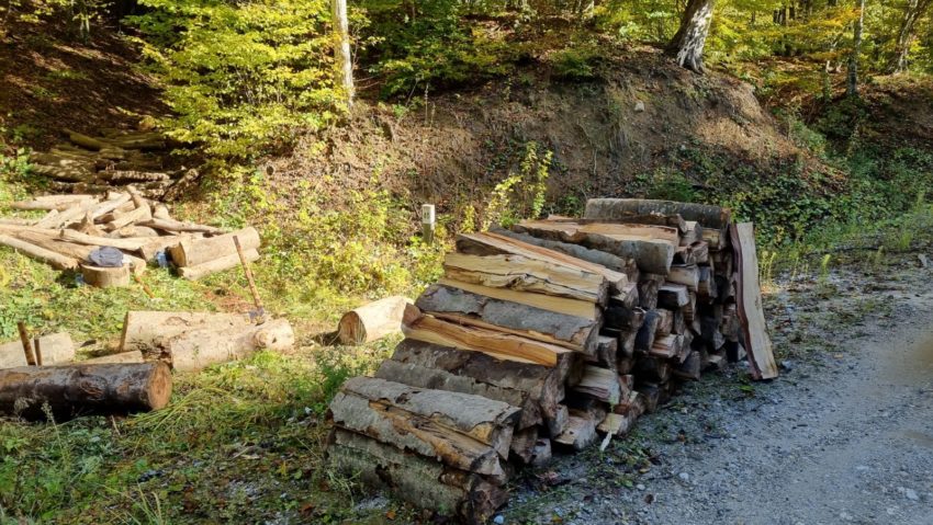 În Caraş-Severin, deşi la mare căutare, lemnul de foc se livrează populaţiei cu porţia