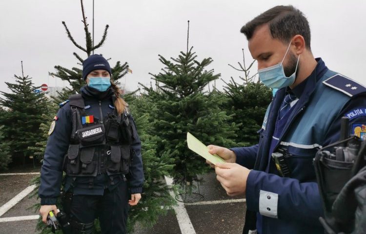 [AUDIO] Garda Forestieră Timişoara a început controalele la pomii de iarnă în Caraş-Severin