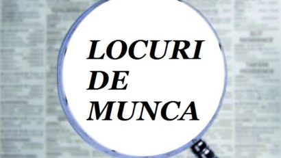 AJOFM anunță 59 de locuri de muncă vacante în Caraș-Severin