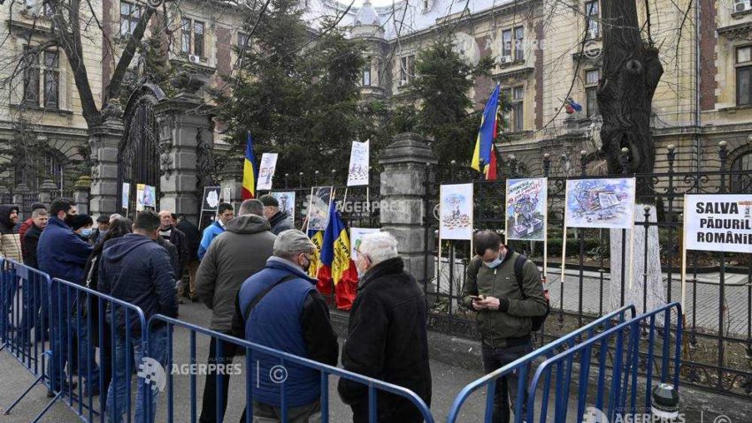 Todoran (Nostra Silva): În lipsa finanţării domeniului, vânzarea pădurilor de către proprietari devine un fenomen de masă