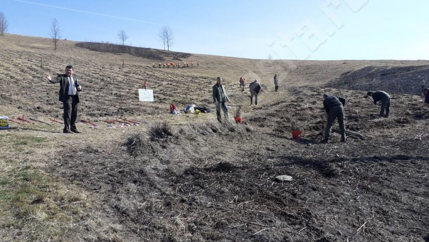 [AUDIO-FOTO] Prioritatea Direcţiei silvice Caraş-Severin, împădurirea terenului dat la schimb Primăriei Reşiţa