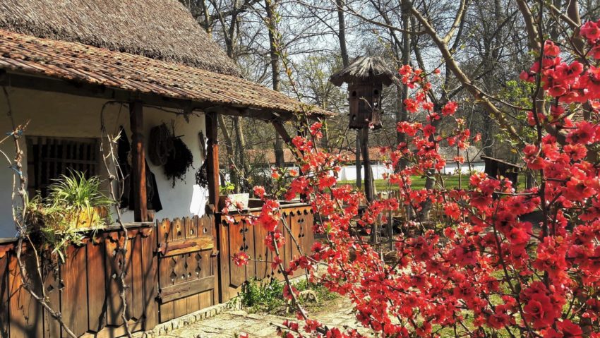 Timiş: Prima ediţie a festivalului multicultural Parcul Primăverii