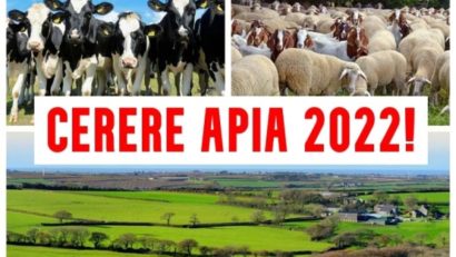 [AUDIO] Peste 25% dintre fermierii cărăşeni şi-au depus deja la APIA cererile unice pe suprafaţele agricole