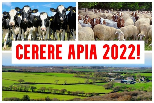 [AUDIO] Peste 25% dintre fermierii cărăşeni şi-au depus deja la APIA cererile unice pe suprafaţele agricole