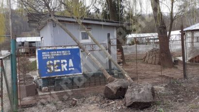 [AUDIO-FOTO] Primăria Reşiţa îşi produce singură pământul de flori pentru spaţiile verzi din oraş