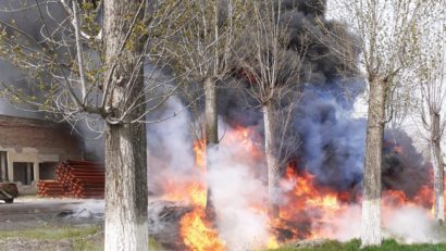 [FOTO]Cercetat pentru distrugere de bunuri la vârsta de 11 ani