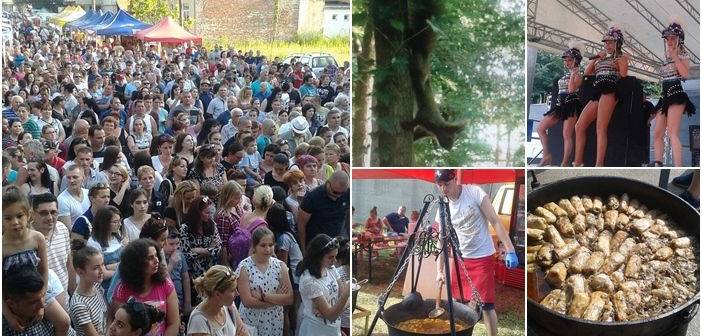 [AUDIO] Patru zile de sărbătoare la Buziaş: Peste 60 de bucătari din întreaga ţară se vor întrece la probele gastronomice, iar fanfara va concerta în colonadă