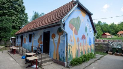 [FOTO] Color the Village, Fărășești, județul TImiș: 30 de fațade reabilitate în 3 zile