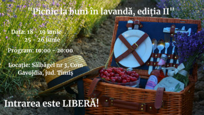 Picnic la buni în lavandă din acest sfârşit de săptămână