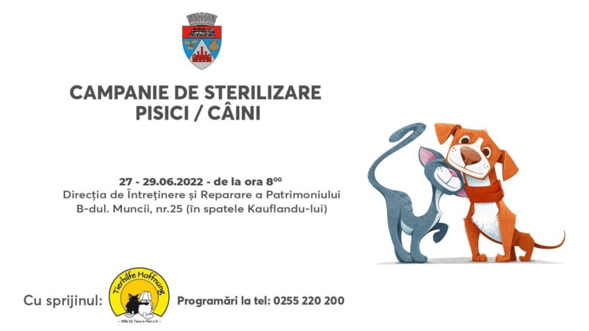 O nouă campanie de sterilizare gratuită pentru câini şi pisici se desfăşoară la Reşiţa