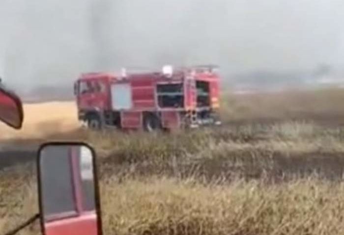 Arad: Incendiul care a mistuit 200 hectare de culturi, izbucnit de la scântei produse la un utilaj agricol