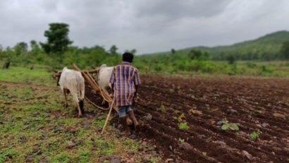 Suprafaţa agricolă afectată de secetă a urcat la 413.145 hectare în 34 de judeţe