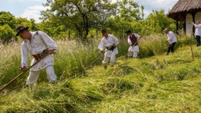 Clacă la coasă, la Iabalcea, în acest sfârşit de săptămână