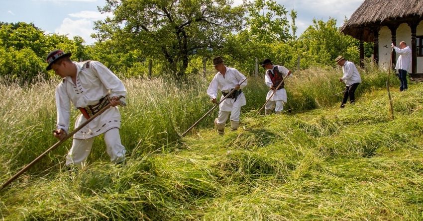 Clacă la coasă, la Iabalcea, în acest sfârşit de săptămână