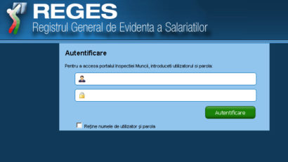 Guvernul a aprobat procedura de acces online a angajaţilor sau foştilor angajaţi la datele din REGES