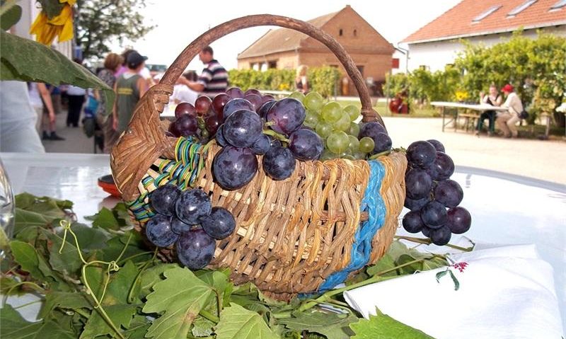 Balul strugurilor şi Gusturile Voivodinei în Banatul sârbesc