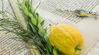 [AUDIO-FOTO] Hag Sameach! Sărbătoarea corturilor marcată la sinagoga din Reşiţa