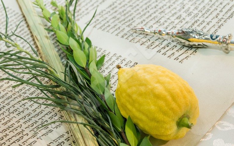 [AUDIO-FOTO] Hag Sameach! Sărbătoarea corturilor marcată la sinagoga din Reşiţa