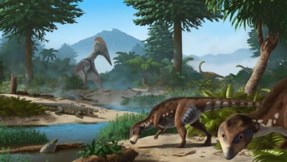 O nouă specie de dinozaur – „Reptila cu cap turtit din Transilvania”, descoperită în Geoparcul Internaţional UNESCO Ţara Haţegului de o echipă internaţională