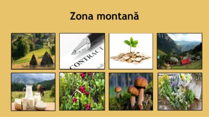 [AUDIO] Fermierii din zona montană a judeţului Caraş-Severin îşi pot înfiinţa stâne şi centre de colectare şi prelucrare a laptelui, fructelor de pădure sau a plantelor aromatice