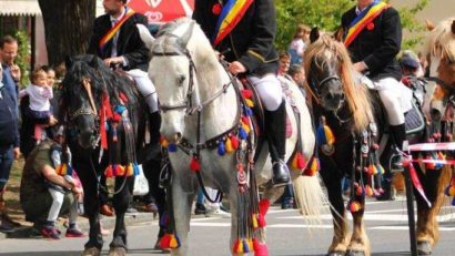 Tradiţia creşterii cailor de rasă lipiţană din România – inclusă în Patrimoniul UNESCO