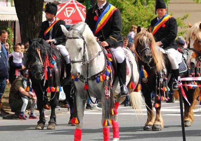 Tradiţia creşterii cailor de rasă lipiţană din România – inclusă în Patrimoniul UNESCO