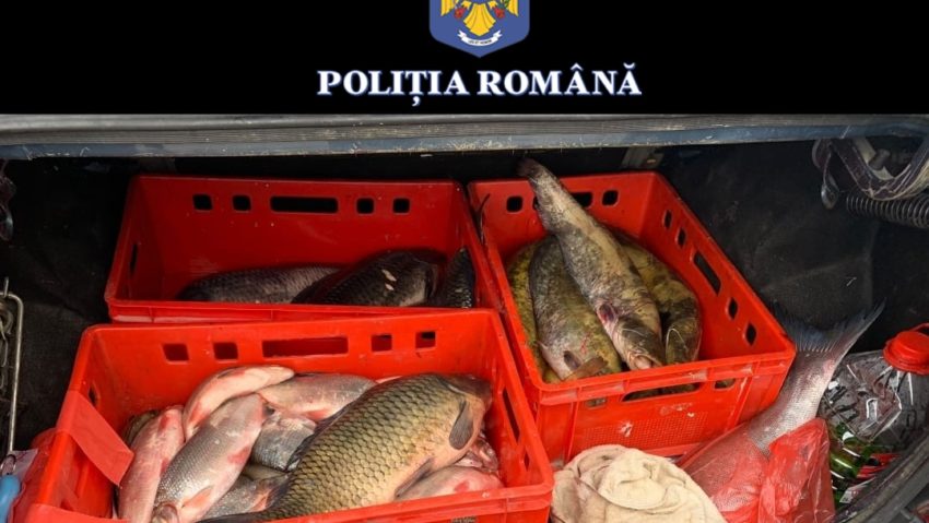 Polițiștii au pescuit peștele din portbagaj