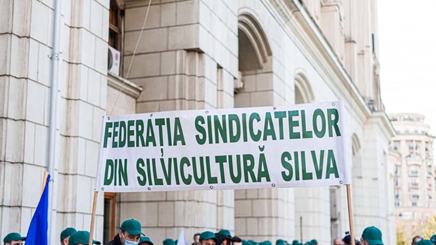 Sindicatele din silvicultură protestează, joi, în faţa Guvernului