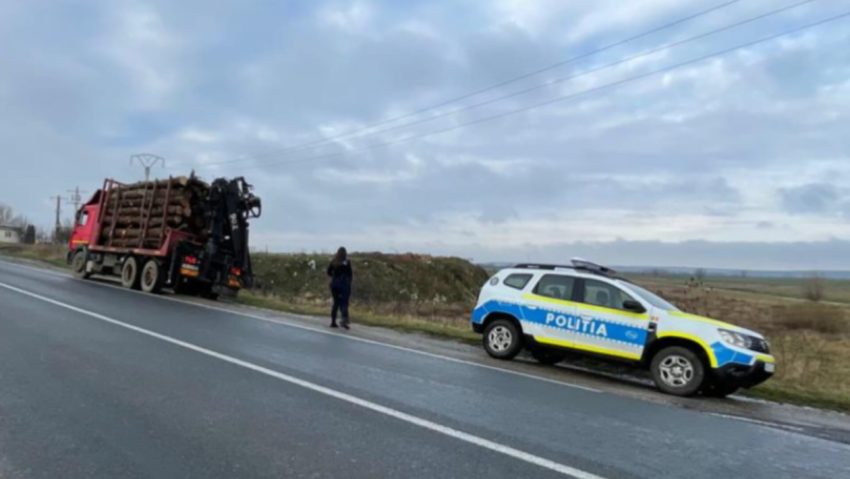 [FOTO] Peste 300 de metri cubi de material lemnos în valoare de peste 200.000 de lei, confiscat