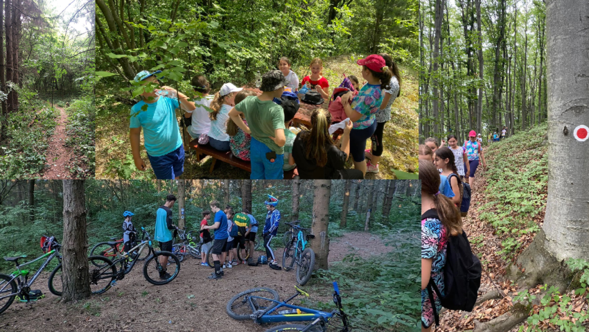 [AUDIO] ”Poiana Caraiman”, noul proiect de educaţie ecologică ce va fi desfăşurat din această lună în Banatul Montan