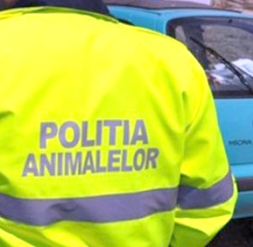 Amenzi în valoare de 14 mii de lei aplicate de Biroul pentru Protecția Animalelor Caraș Severin