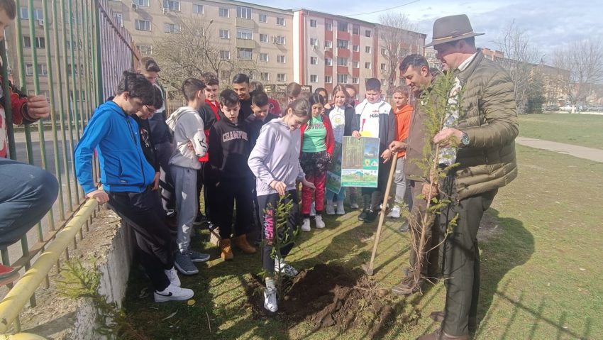 [AUDIO-FOTO] Rangerii Parcului Naţional Semenic-Cheile Caraşului au deschis, printr-o lecţie deschisă, Luna plantării arborilor la Reşiţa