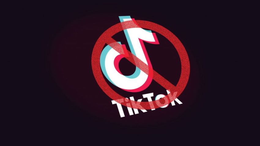 Guvernul român analizează posibilitatea de a interzice folosirea aplicației TikTok în instituțiile publice