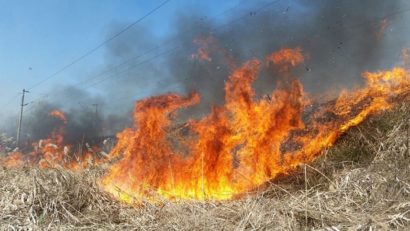 [AUDIO] Administratorii ariilor protejate din Caraş-Severin trag un semnal de alarmă asupra pericolului incendierii terenurilor agricole şi a pajiştilor din judeţ