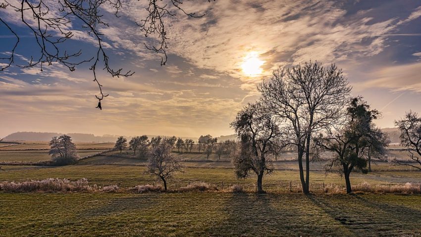 Meteorologii anunţă vreme rece, cu brumă şi intensificări ale vântului. Temperaturile scad sub zero grade pe timpul nopţii